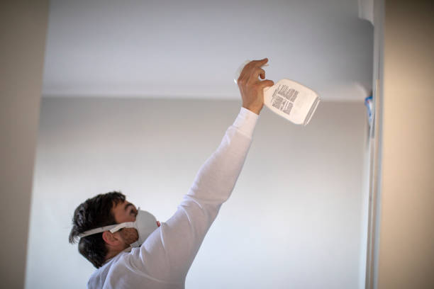 Best Best Mold Removal Companies  in West Wyomissing, PA