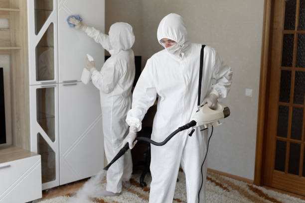 Trusted West Wyomissing, PA Mold Removal Experts