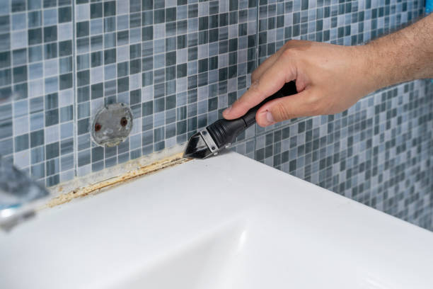 Best Mold Damage Repair  in West Wyomissing, PA